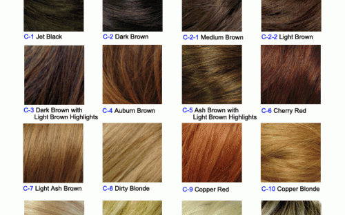 blog-hair-color-chart.gif
