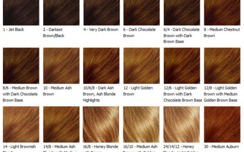 hair-weave-color-chart.jpg