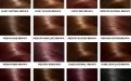 brown-hair-color-chart.jpg